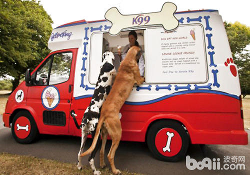 Summer is coming again, can dogs eat ice cream?